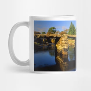 Postbridge, Clapper Bridge & East Dart River Mug